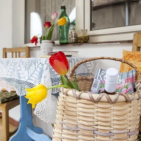 Emese Vendeghaz Guest house Noszvaj