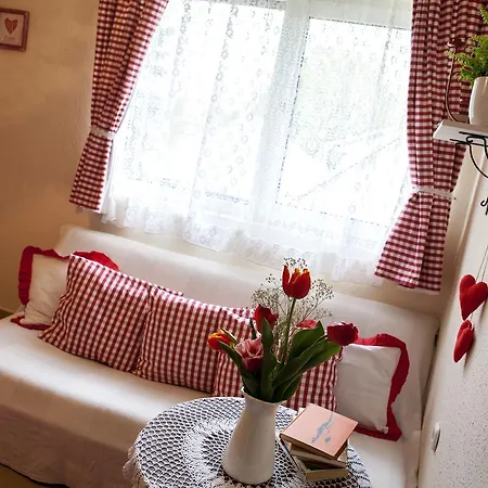 Guest house Emese Vendeghaz *